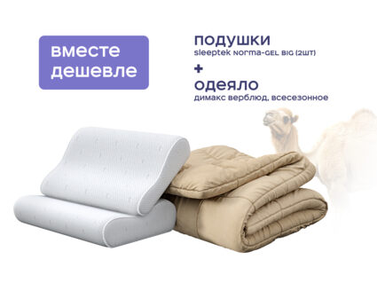 Одеяло Димакс Верблюд всесезонное + 2 подушки Sleeptek Norma-GEL BIG 1426