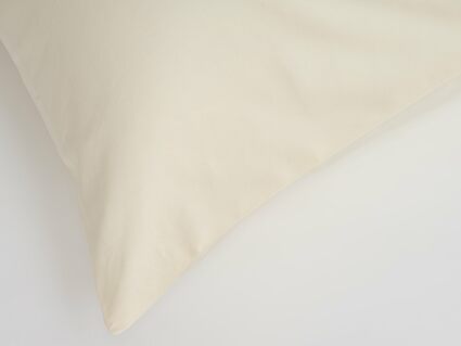 Наволочка German Grass без рисунка Golden Palette Grass (2 шт.) 497