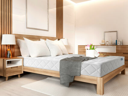 Матрас Димакс Relmas Cocos S1000 49